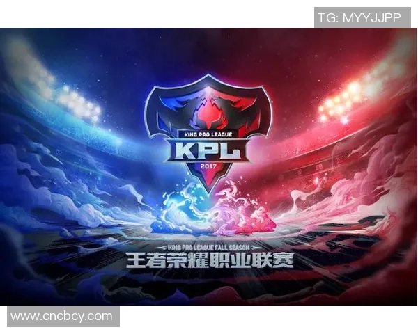 全面解析一竞技官网平台的特色与优势助您畅享精彩赛事体验